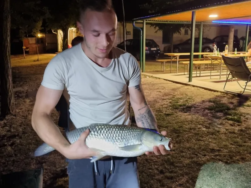 Pecások
