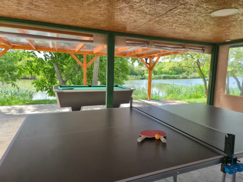 Ping-pong