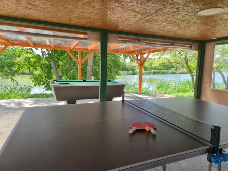 Ping-pong
